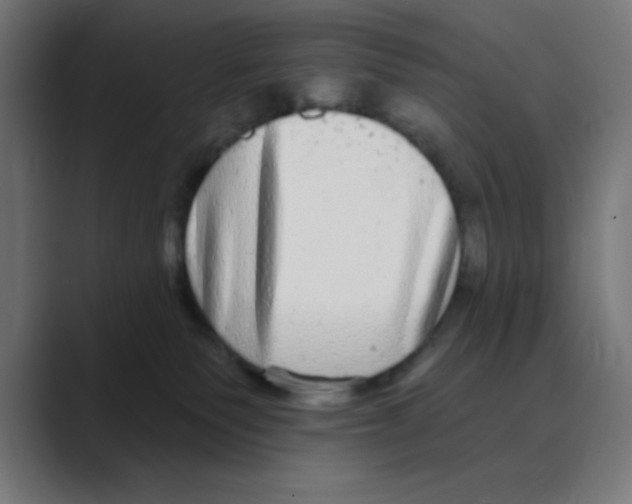 X0000088430135200706191241