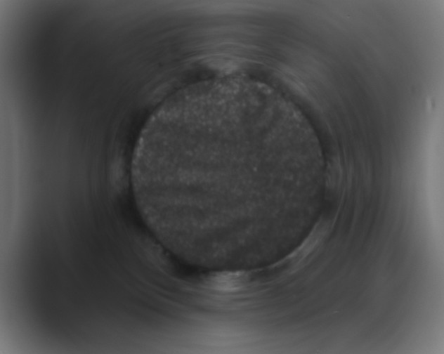 X0000088430136200706191241