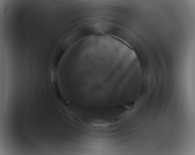 X0000088430137200706191241