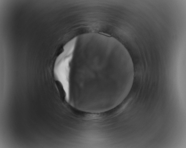 X0000088430139200706191241