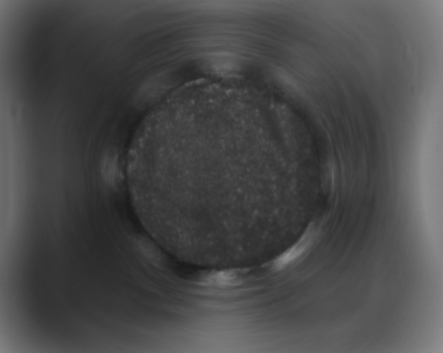X0000088430140200706191241
