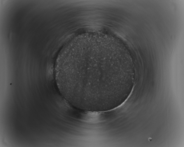 X0000088430144200706191241