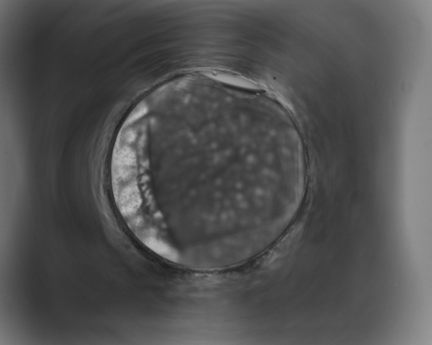 X0000088430145200706191240