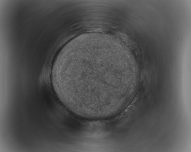 X0000088430146200706191240