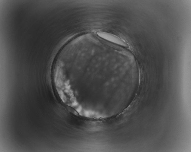 X0000088430147200706191240