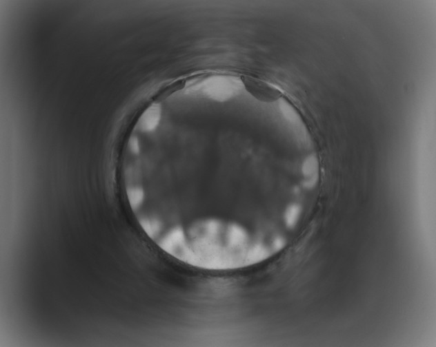 X0000088430149200706191241