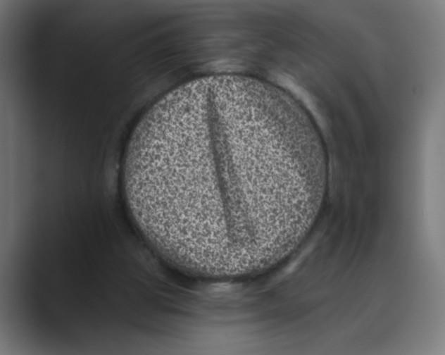 X0000088430153200706191241