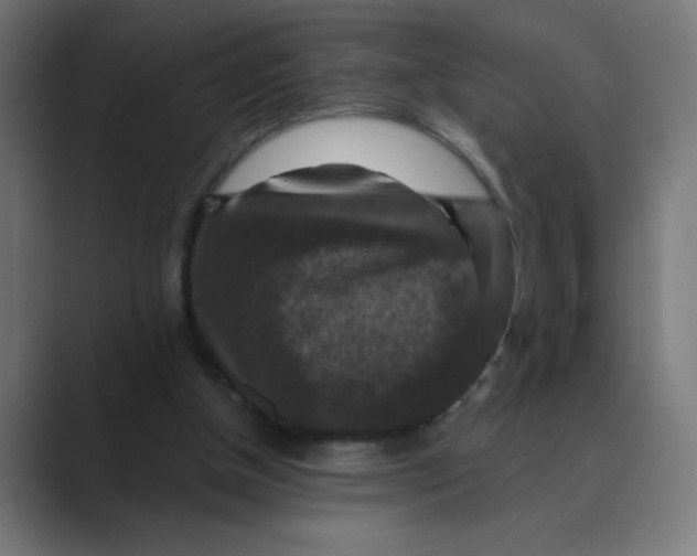 X0000088430154200706191241
