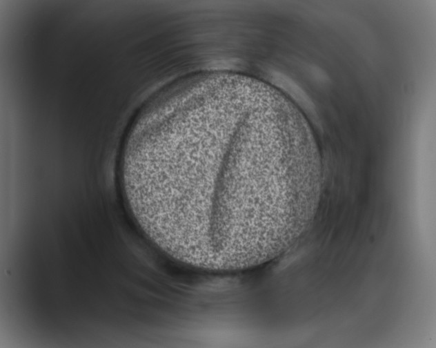 X0000088430155200706191241