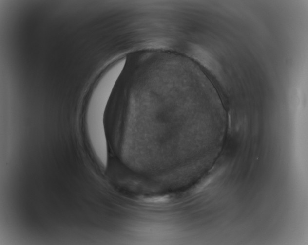 X0000088430156200706191241