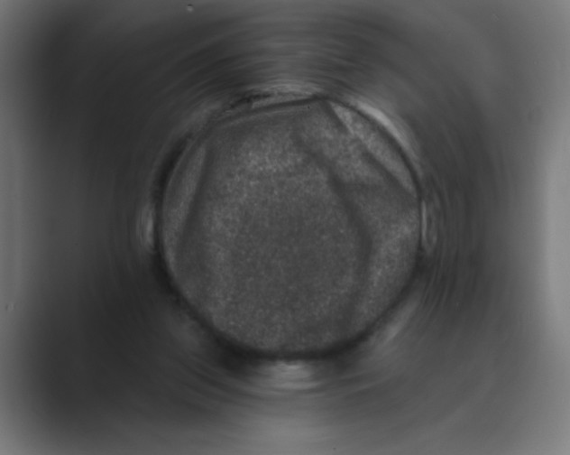 X0000088430157200706191241