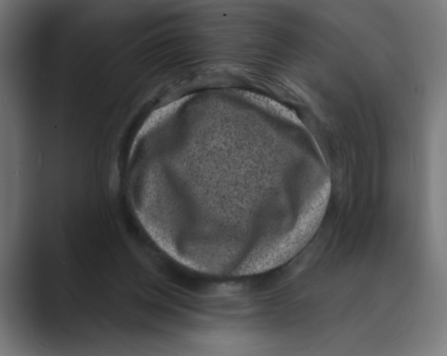 X0000088430158200706191241
