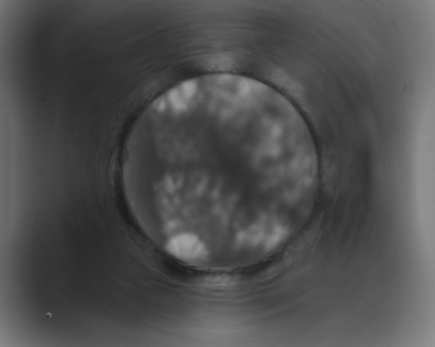 X0000088430161200706191241