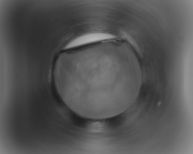 X0000088430163200706191241