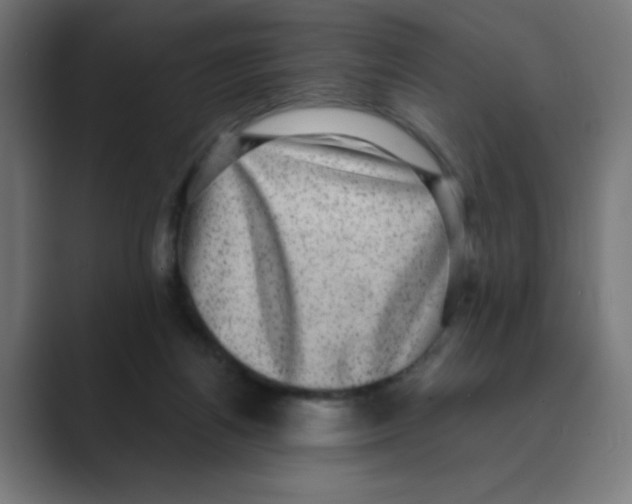 X0000088430164200706191241
