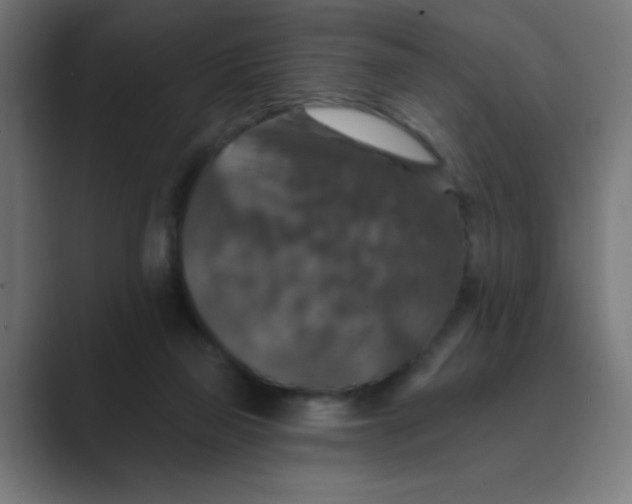 X0000088430165200706191241