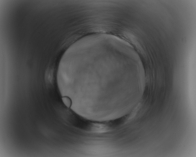 X0000088430167200706191241