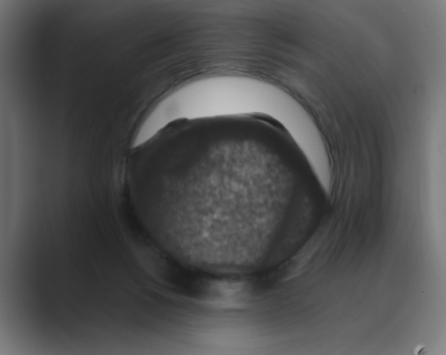 X0000088430168200706191241