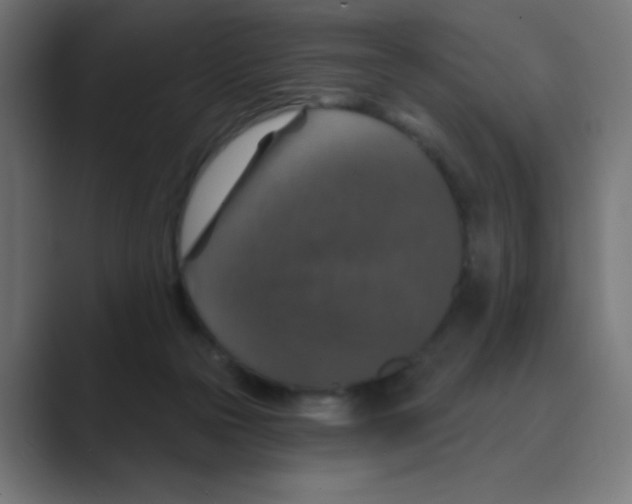 X0000088430169200706191241