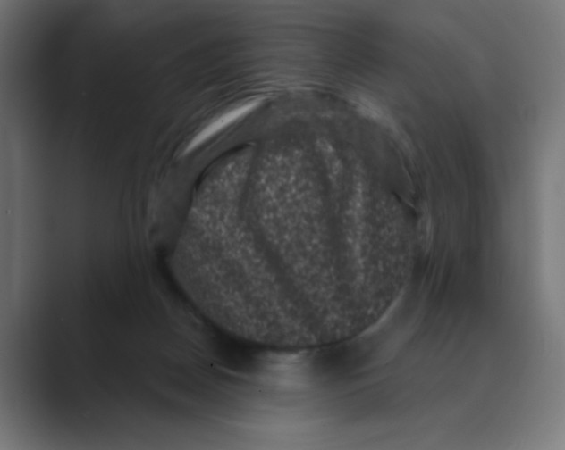 X0000088430170200706191241
