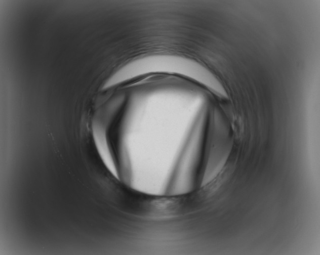 X0000088430172200706191241