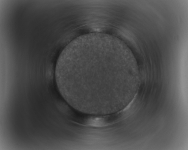 X0000088430174200706191241