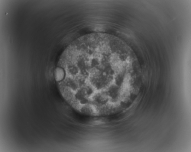 X0000088430175200706191241