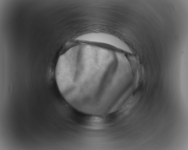 X0000088430176200706191241