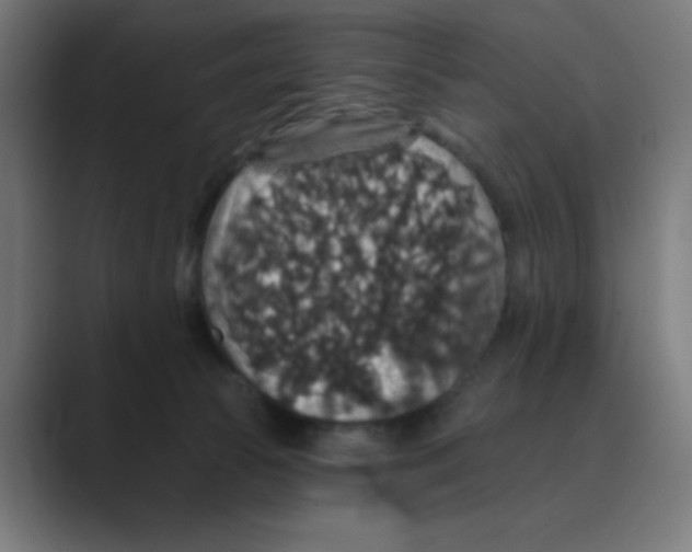 X0000088430177200706191241