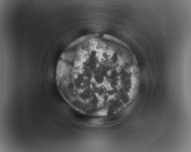 X0000088430178200706191241