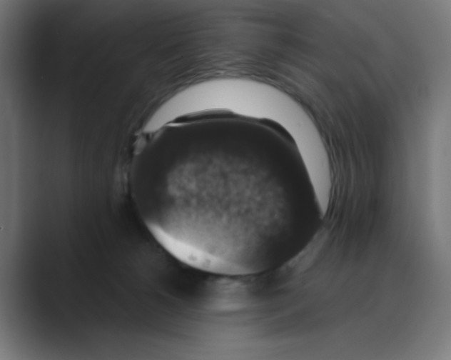 X0000088430180200706191241