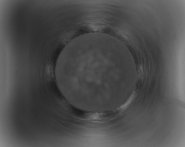 X0000088430182200706191241