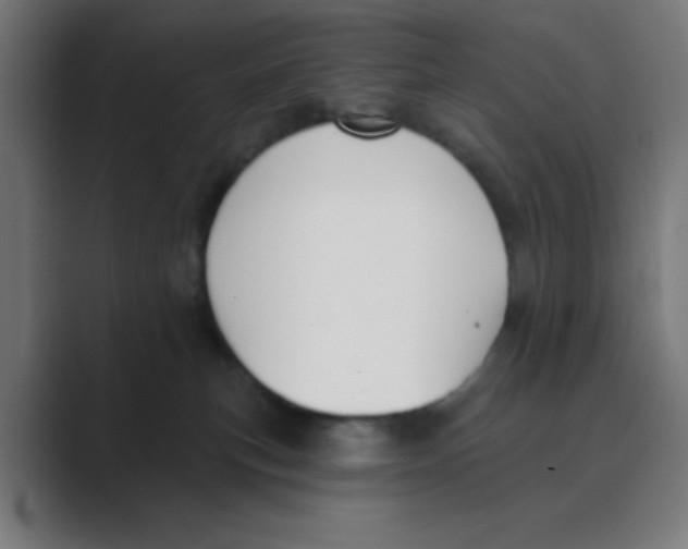 X0000088430183200706191241