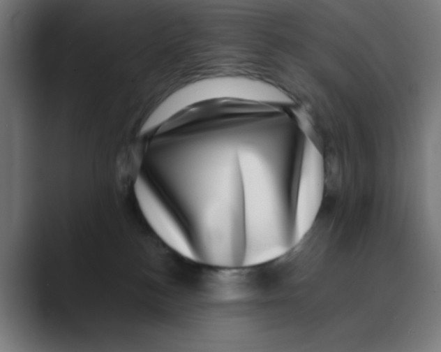 X0000088430184200706191241