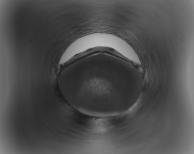 X0000088430186200706191241