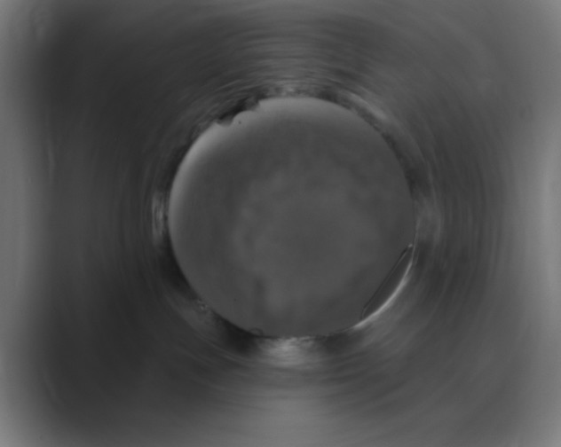 X0000088430191200706191241