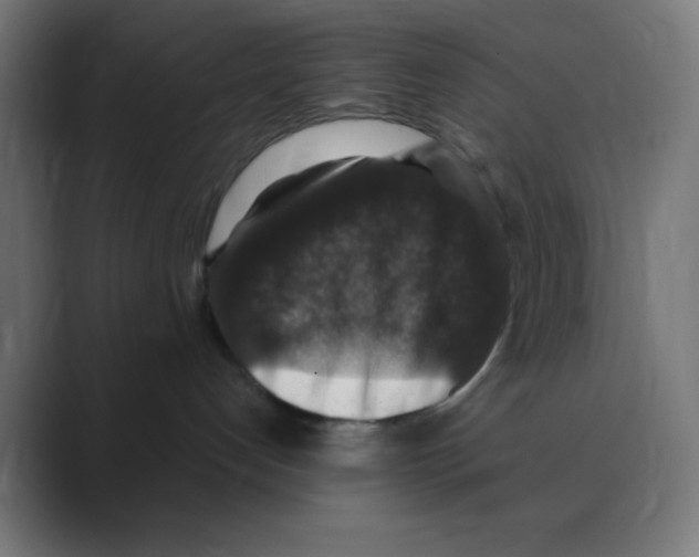 X0000088430192200706191241