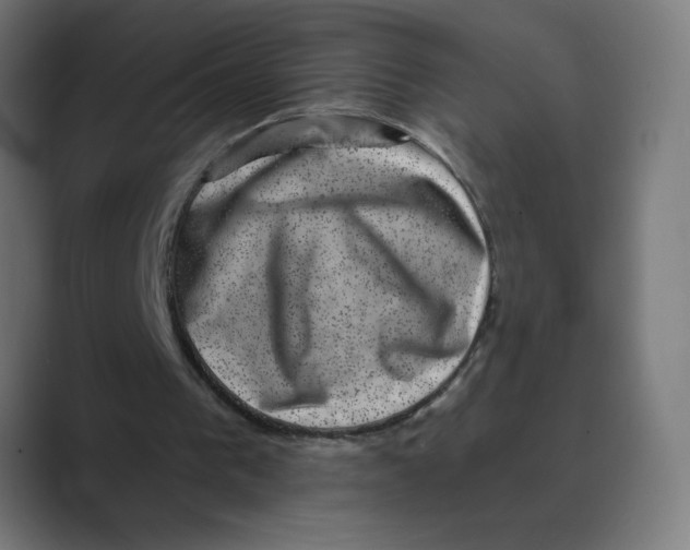 X0000088430193200706191240
