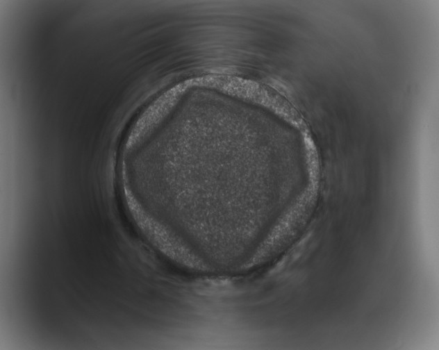 X0000088430194200706191240
