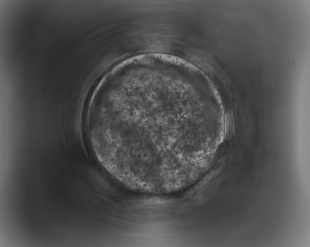 X0000088430195200706191240