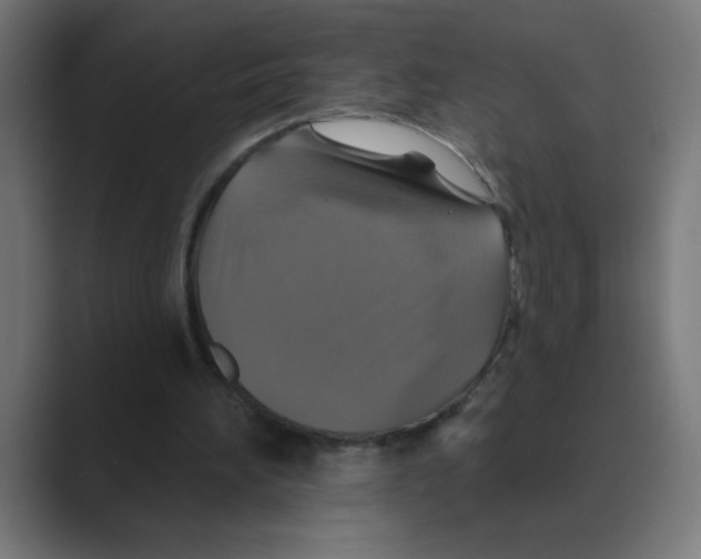 X0000088430196200706191240
