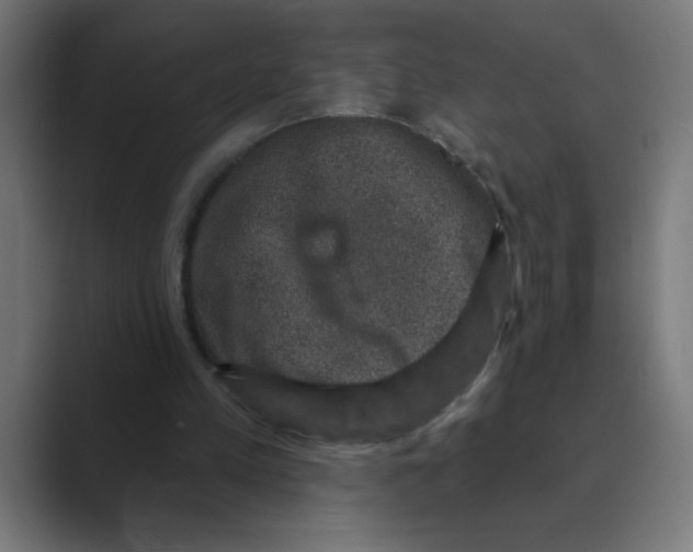 X0000088430197200706191240