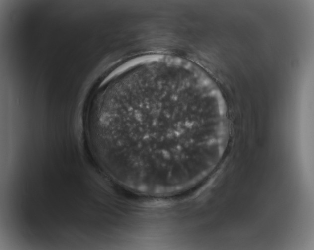 X0000088430198200706191240