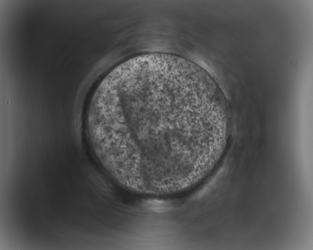 X0000088430199200706191240