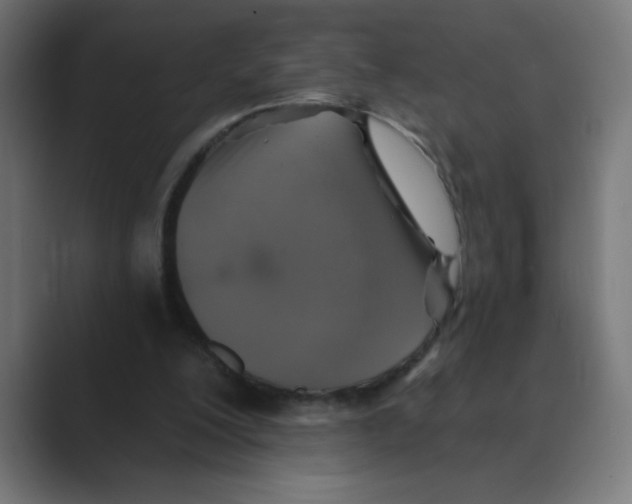 X0000088430200200706191240