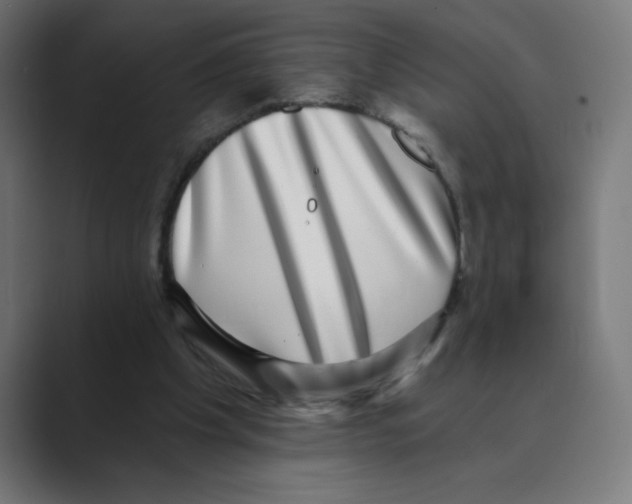 X0000088430201200706191240