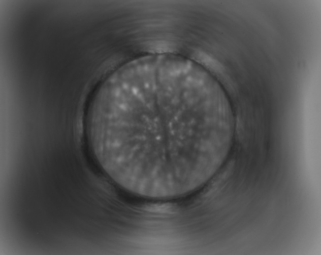 X0000088430202200706191240