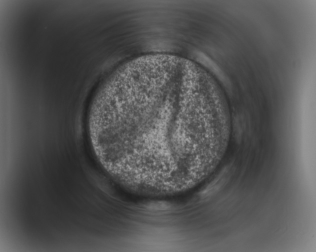 X0000088430203200706191240