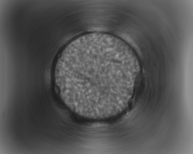 X0000088430204200706191240