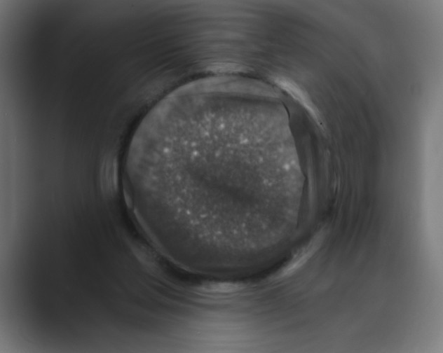 X0000088430205200706191240